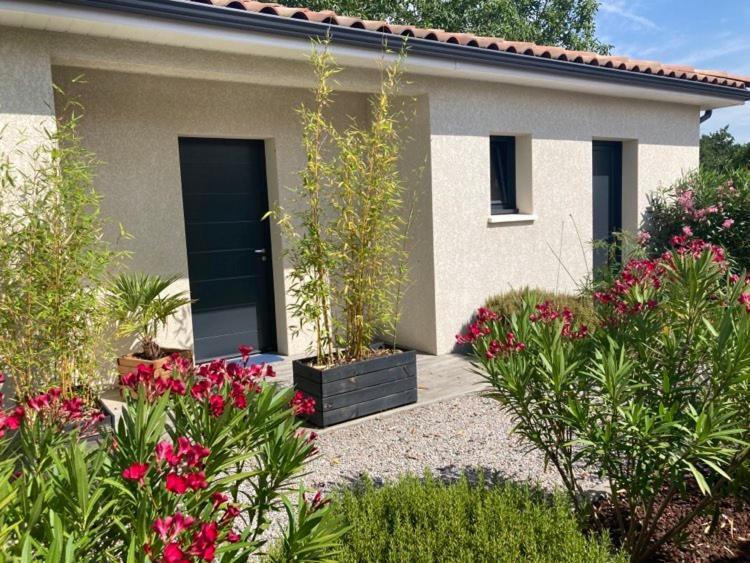 Les Jardins D'Oc - Wifi, Terrasse Et Jardinet - Appart T2 Neuf Soual Экстерьер фото